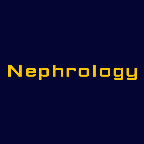 Nephrology icon